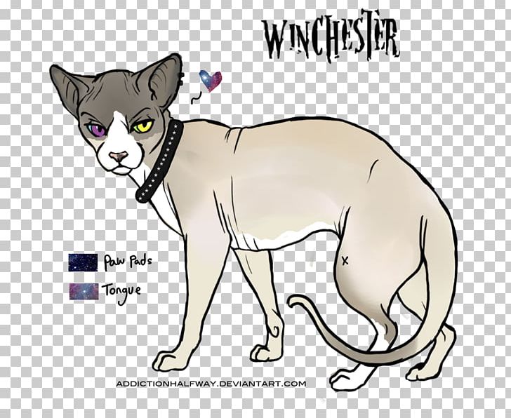 Whiskers Cat Dog Paw PNG, Clipart, Animals, Artwork, Big Cat, Big Cats, Canidae Free PNG Download