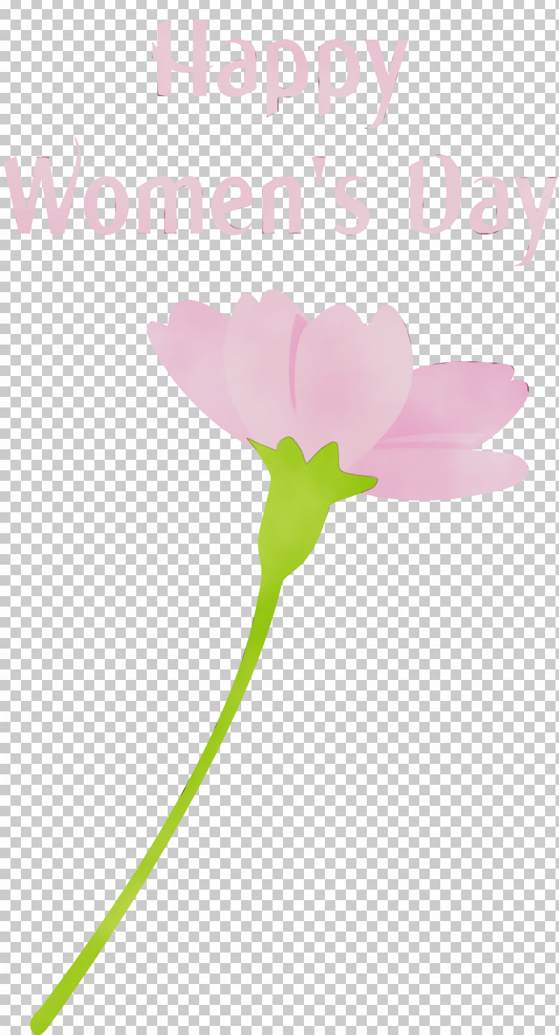 Flower Pink Plant Petal Pedicel PNG, Clipart,  Free PNG Download