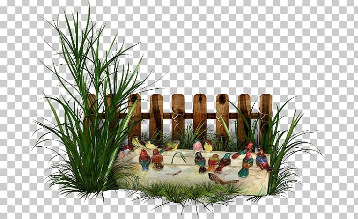 Born From Weeds & Rats Garden Fence PNG, Clipart, Bird, Born From Weeds Rats, Desktop Wallpaper, Digital Image, Fence Free PNG Download
