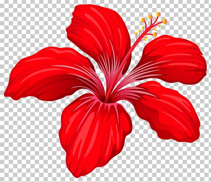Flower Red PNG, Clipart, China Rose, Chinese Hibiscus, Clip Art, Cut Flowers, Drawing Free PNG Download