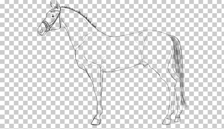 Hanoverian Horse Line Art Lusitano Pony Stallion PNG, Clipart, Animal Figure, Artwork, Black And White, Bridle, Colt Free PNG Download