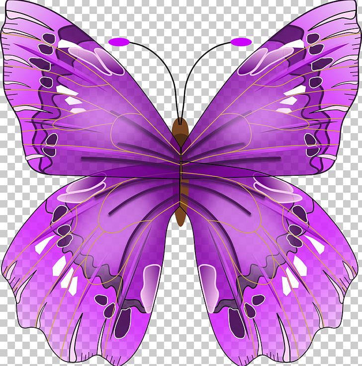 Insect Papilionoidea PNG, Clipart, Animals, Arthropod, Brush Footed Butterfly, Butterflies And Moths, Butterfly Free PNG Download