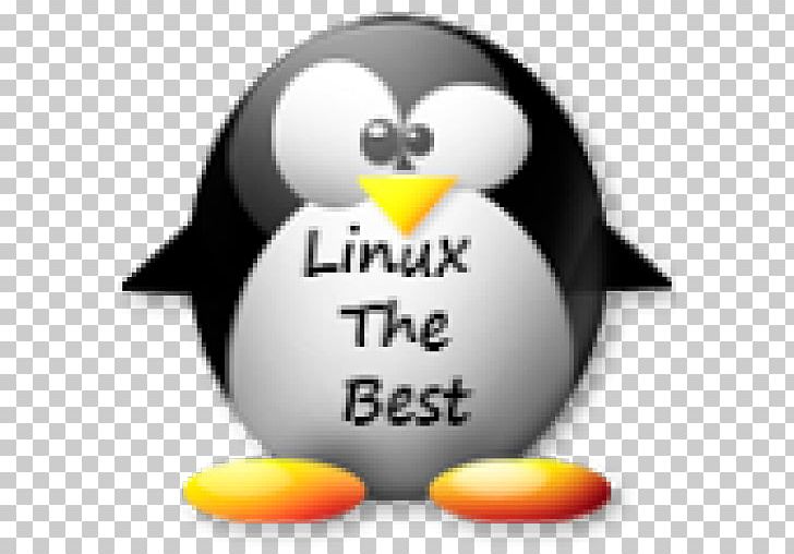 Algorithm Google Penguin H5P Google Panda PNG, Clipart, Algorithm, Animals, Backlink, Beak, Bird Free PNG Download