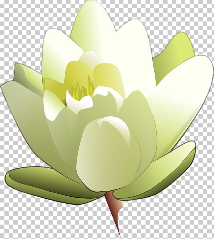 Easter Lily Tiger Lily Flower PNG, Clipart, Aquatic Plant, Arumlily, Computer Icons, Easter Lily, Floral Design Free PNG Download