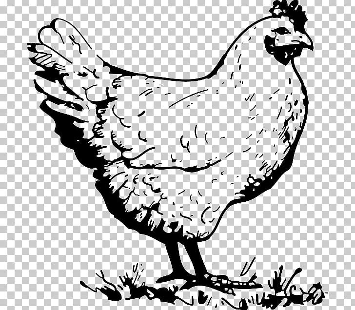 Barbecue Chicken Buffalo Wing Fried Chicken Rooster PNG, Clipart, Animals, Artwork, Barbecue Chicken, Beak, Bird Free PNG Download