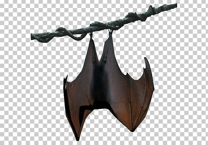 Franquet's Epauletted Fruit Bat Buettikofer's Epauletted Fruit Bat Megabat PNG, Clipart, Animal, Animals, Bat, Big Brown Bat, Hanging Bat Free PNG Download
