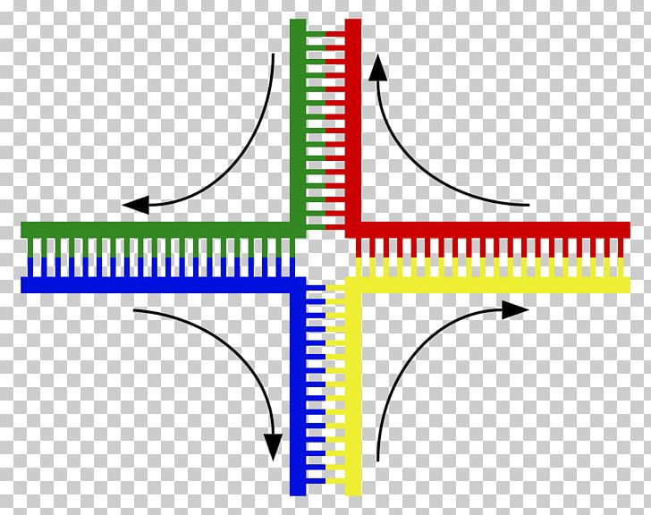 Holliday Junction DNA Genetics Chromosomal Crossover Cruciform PNG, Clipart, Angle, Area, Atomic Force Microscopy, Biology, Cell Free PNG Download