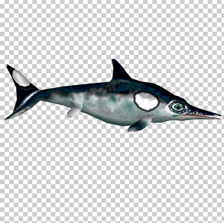 Portable Network Graphics Rough-toothed Dolphin PNG, Clipart, Aligator, Bacon, Billfish, Dolphin, Download Free PNG Download