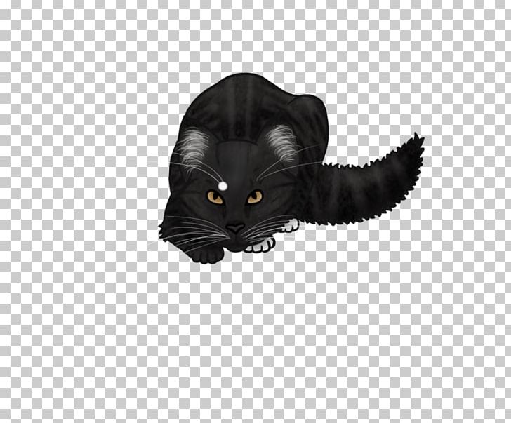 Whiskers Domestic Short-haired Cat Snout Black M PNG, Clipart, Animals, Black, Black Cat, Black M, Carnivoran Free PNG Download