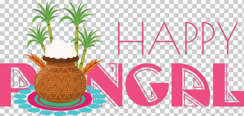Pongal Happy Pongal PNG, Clipart, Geometry, Happy Pongal, Line, Logo, M Free PNG Download