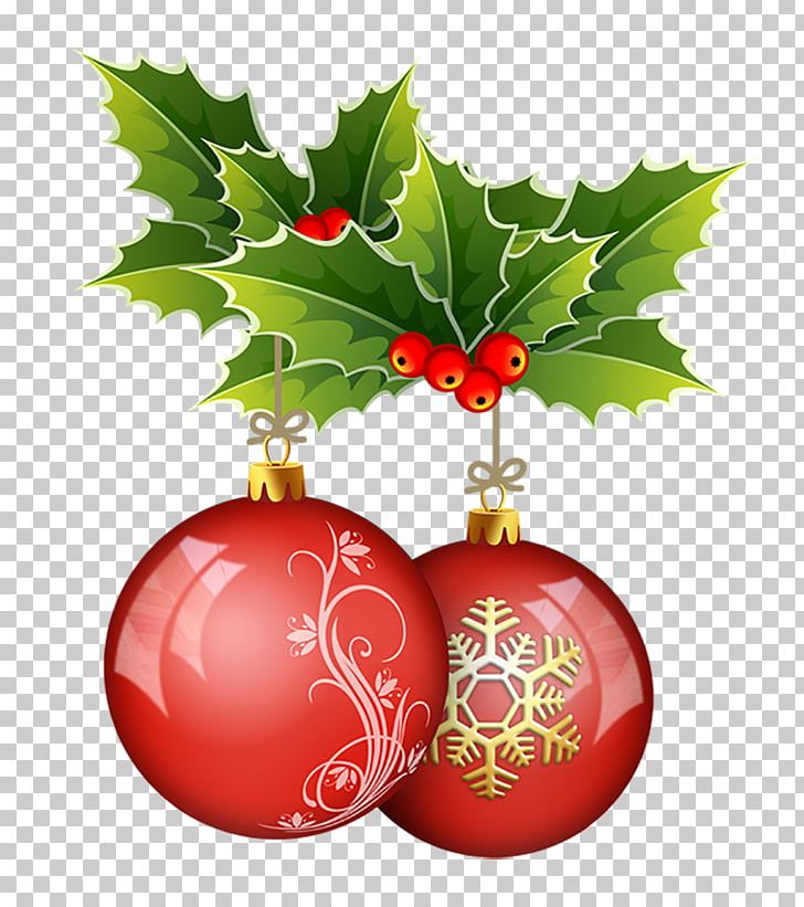 Christmas Ornament Common Holly SO2 Distribuzione Vini Naturali Christmas Carol PNG, Clipart, Aquifoliaceae, Aquifoliales, Ball, Bocce, Christmas Free PNG Download