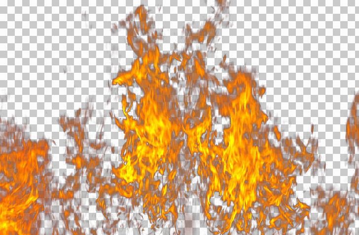 Fire Flame Light PNG, Clipart, Abstract, Autumn, Blue Flame, Branch, Combustion Free PNG Download