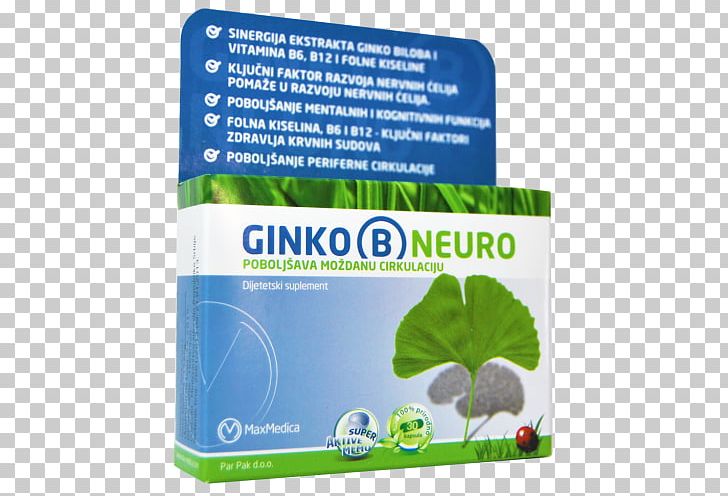 Ginkgo Biloba Dietary Supplement Neurology Headache Vitamin B-12 PNG, Clipart, Dietary Supplement, Extract, Folate, Ginkgo Biloba, Ginko Free PNG Download