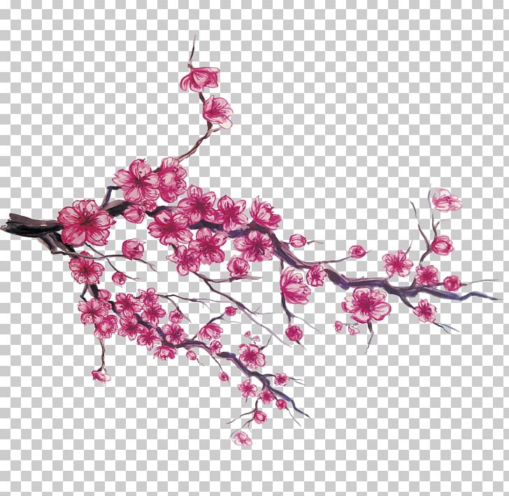 Japan Cherry Blossom PNG, Clipart, Adobe Illustrator, Blossom, Blossoms, Branch, Cherry Free PNG Download