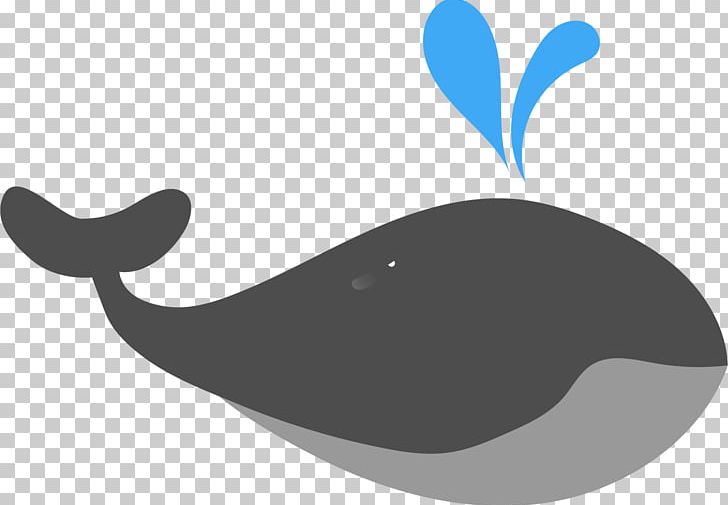 Moby-Dick Beluga Whale PNG, Clipart, Animal, Animals, Baleen Whale, Beluga Vector, Blue Whale Free PNG Download