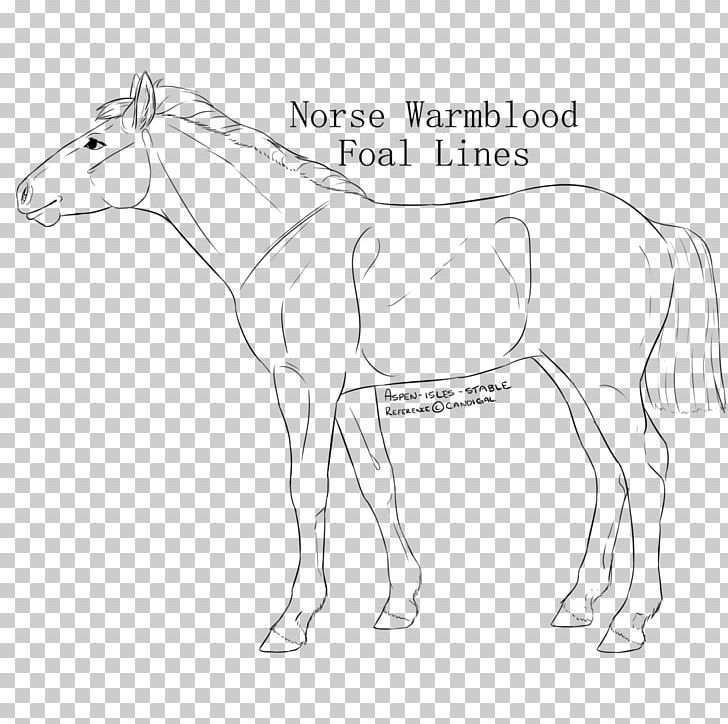Mule Bridle Stallion Colt Mustang PNG, Clipart, Artwork, Black And White, Bridle, Colt, Drawing Free PNG Download