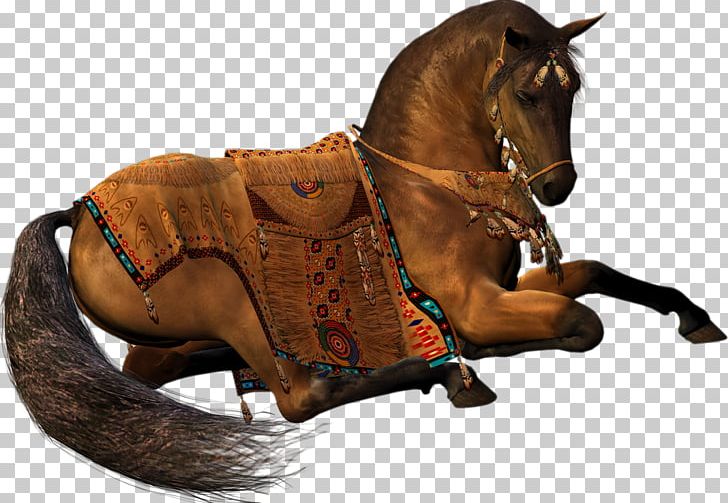 Mustang Stallion Animal Rein PNG, Clipart, Animal, Bit, Bridle, Cowboy Hat, Equus Free PNG Download