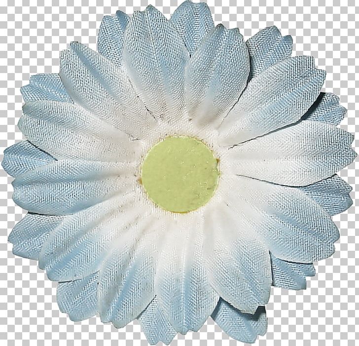 Transvaal Daisy Cut Flowers Petal PNG, Clipart, Cream, Cut Flowers, Daisy, Daisy Family, Flower Free PNG Download