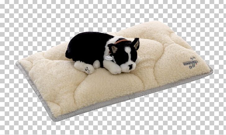 Dog Breed Puppy Bed PNG, Clipart, Animals, Bed, Breed, Carnivoran, Cushion Free PNG Download