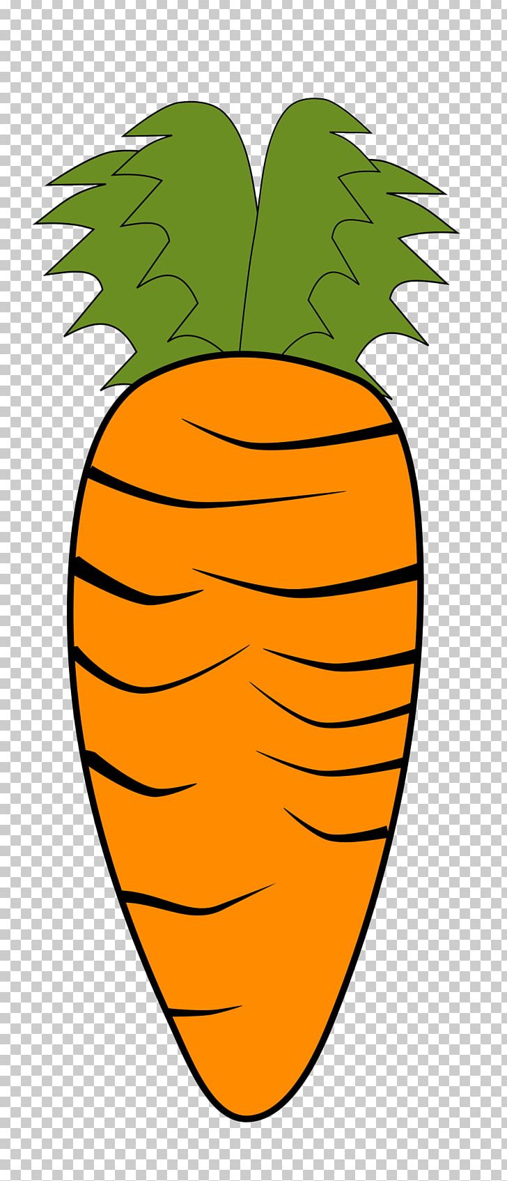 Vegetable Carrot PNG, Clipart, Artwork, Carrot, Flower, Flowering Plant, Food Free PNG Download