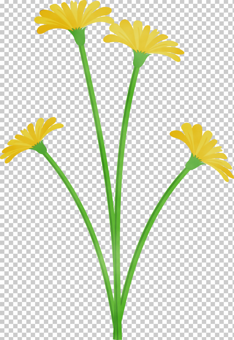 Youtube Plant Stem PNG, Clipart, Daisy Family, Dandelion Flower, Gco, Google, H Query Free PNG Download