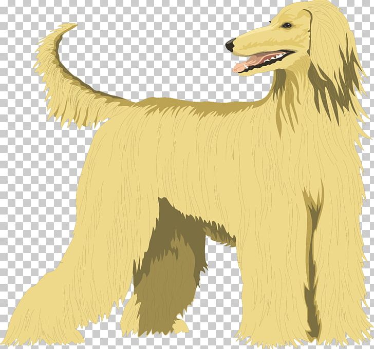 Afghan Hound Basset Hound Greyhound PNG, Clipart, Afghan Hound, Animals, Basset Hound, Carnivoran, Computer Icons Free PNG Download