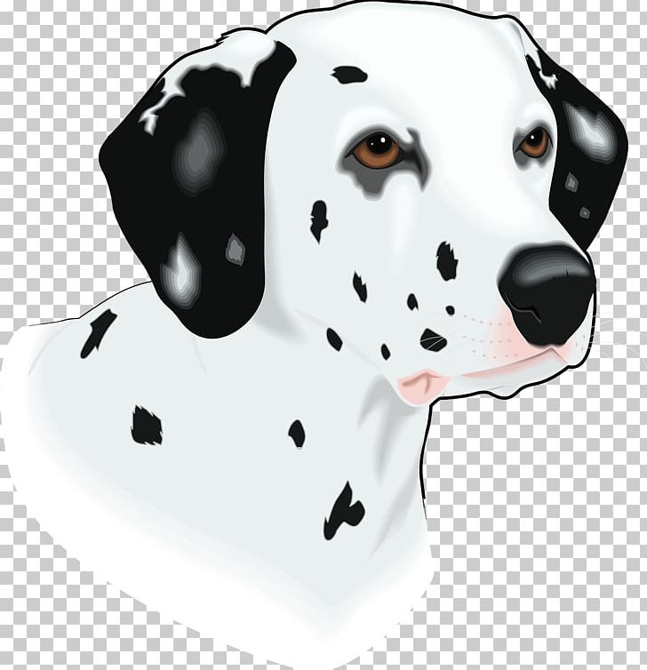Dalmatian Dog Puppy PNG, Clipart, Animals, Breed, Carnivoran, Dalmatian, Dalmatian Dog Free PNG Download
