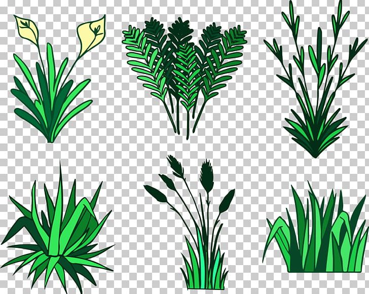 Flower Arum-lily Euclidean PNG, Clipart, Aquarium Decor, Arecaceae, Flowers, Grass, Leaf Free PNG Download