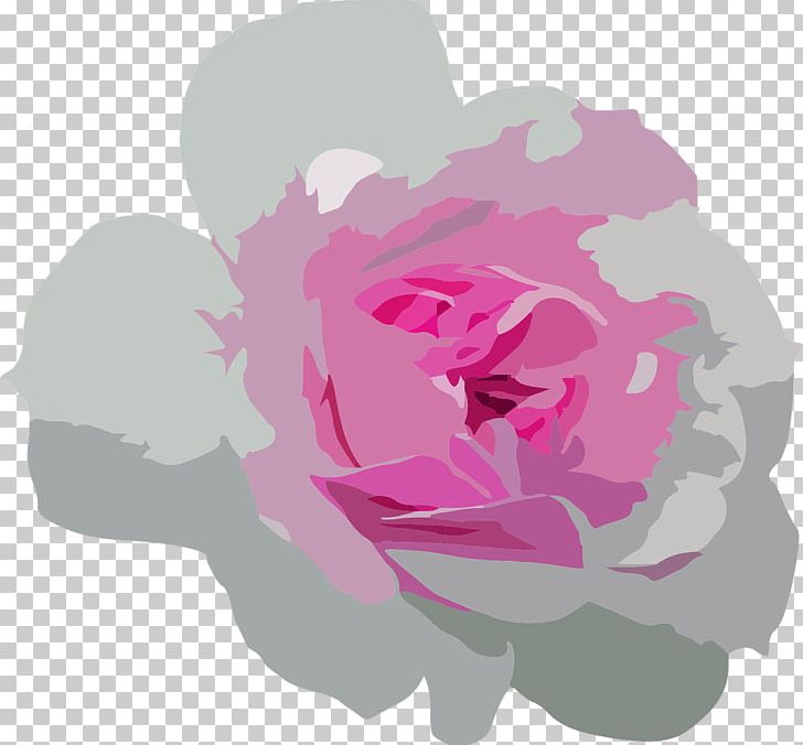 Petal Flower Garden Roses Centifolia Roses PNG, Clipart, Art, Beach Rose, Blume, Centifolia Roses, Floral Free PNG Download