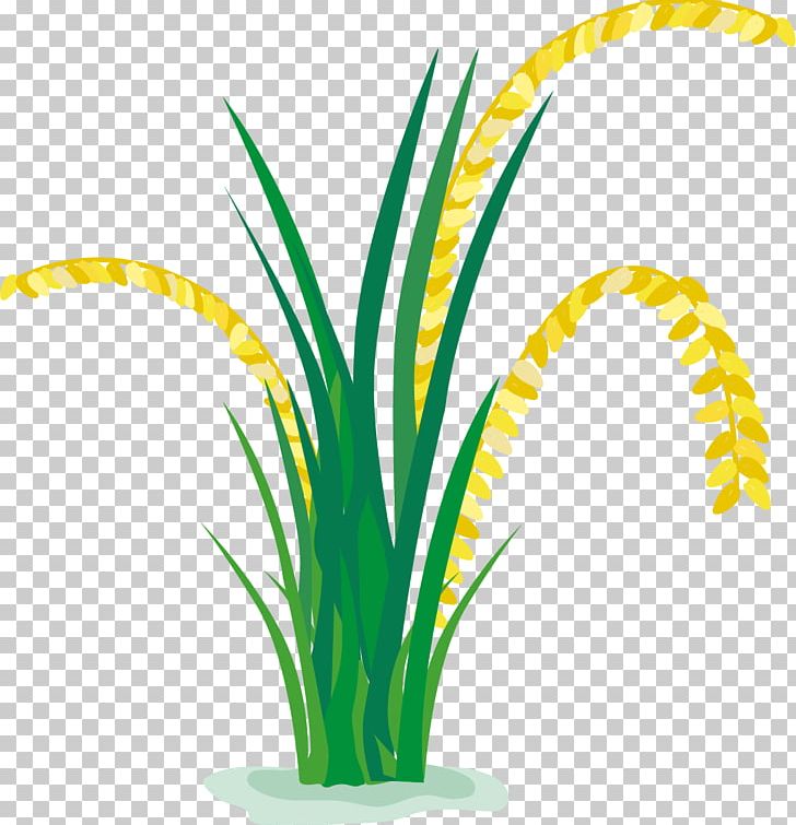 Rice Paddy Field Cartoon PNG, Clipart, Animation, Boy Cartoon, Cartoon Character, Cartoon Eyes, Cartoon Network Free PNG Download