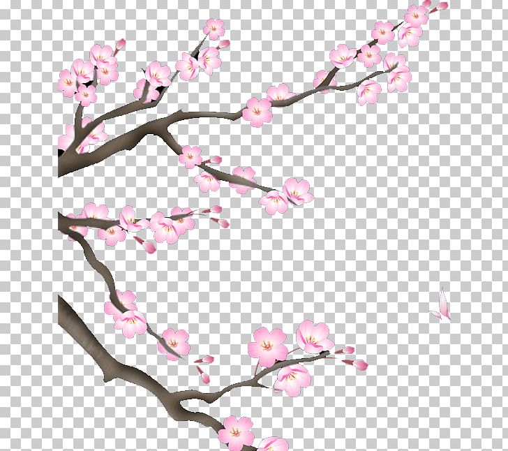 YY.com Live Television Dance Bilibili Video PNG, Clipart, Beautiful, Branch, Flower, Flowers, Fruit Nut Free PNG Download
