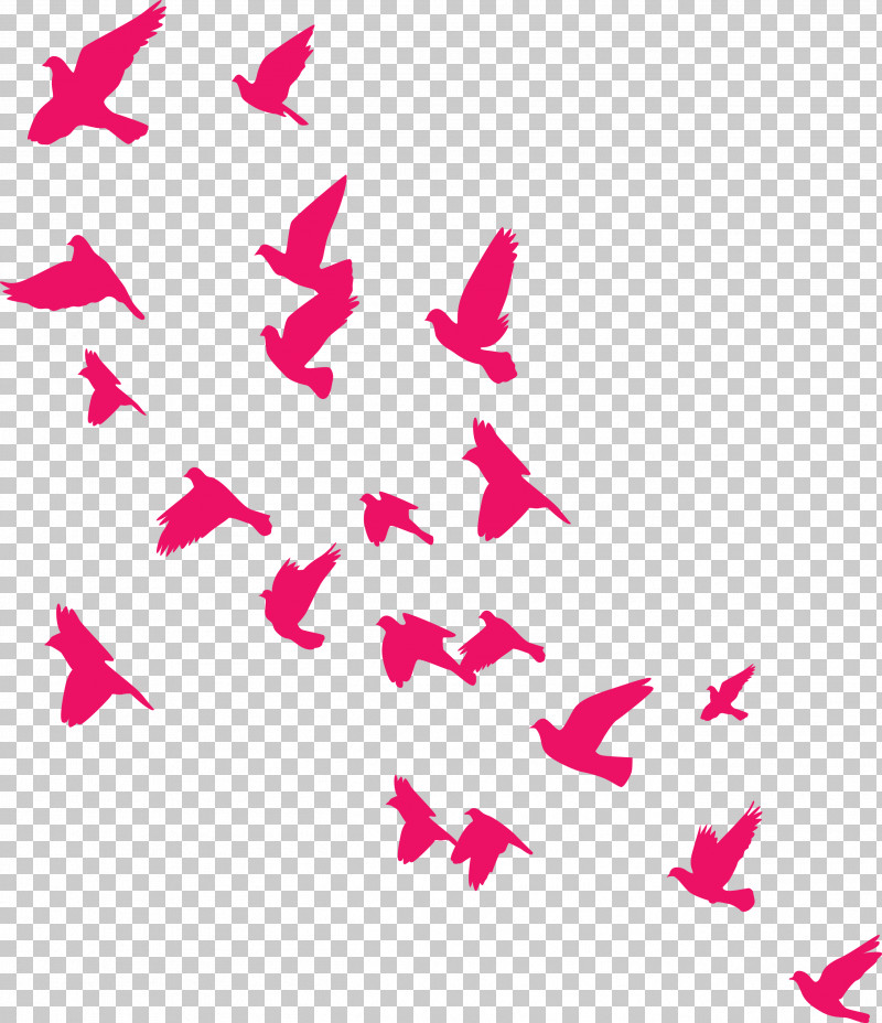 Flying Birds Background PNG, Clipart, Flying Birds Background, Line, Meter, Pink M Free PNG Download