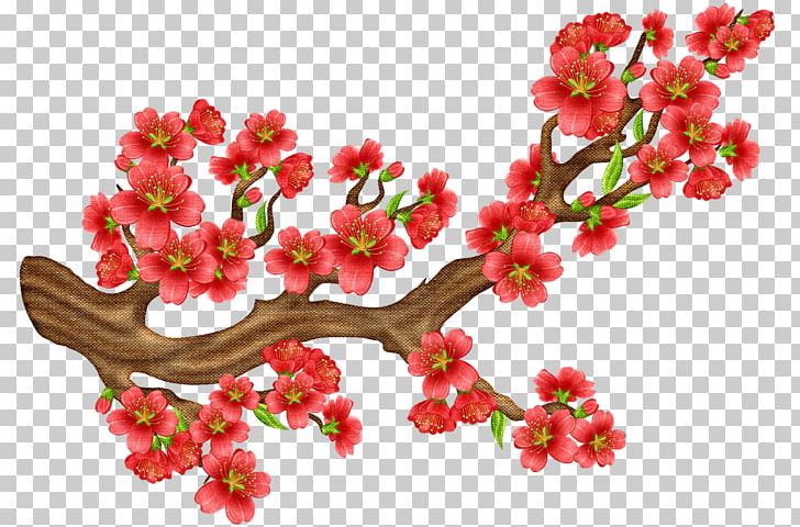 Cherry Blossom Portable Network Graphics Flower PNG, Clipart, Blossom, Branch, Cartoon, Cherry Blossom, Flora Free PNG Download
