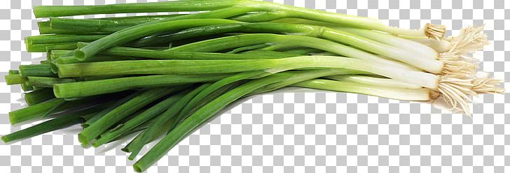Cong You Bing Scallion Onion Vegetarian Cuisine Vegetable PNG, Clipart, Cong You Bing, Cooking, Dish, Food, Food Drinks Free PNG Download