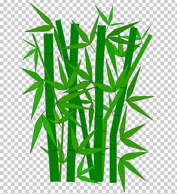 Tropical Woody Bamboos PNG, Clipart, Bamboo, Bambu, Commodity, Computer, Document Free PNG Download
