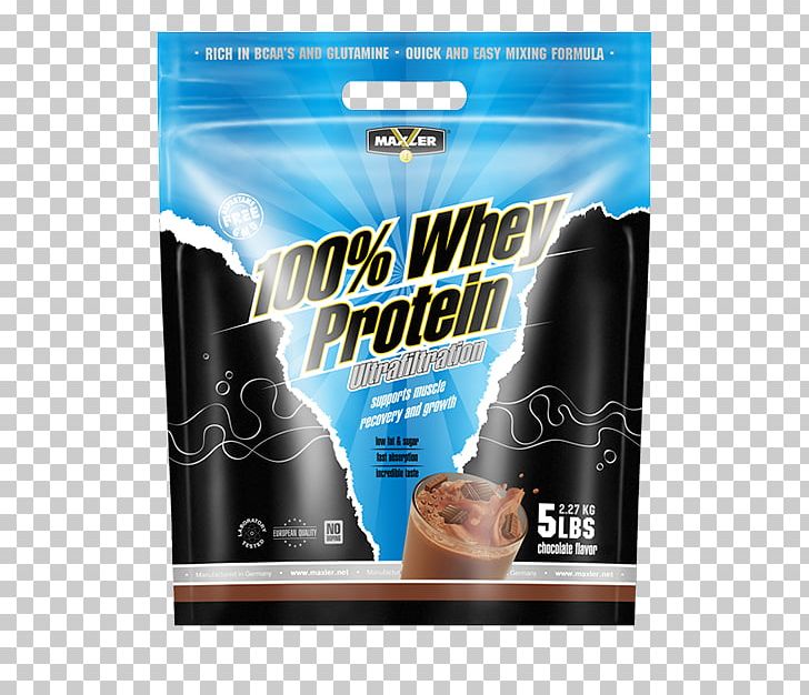 Whey Protein Whey Protein Bodybuilding Supplement Nutrition PNG, Clipart, Amino Acid, Artikel, Bodybuilding Supplement, Branchedchain Amino Acid, Brand Free PNG Download