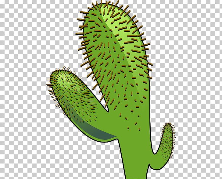 Cactaceae Saguaro Cactus Wren PNG, Clipart, Animation, Cactaceae, Cactus, Cactus Plant, Cactus Wren Free PNG Download