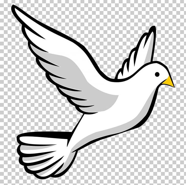 Columbidae Doves As Symbols PNG, Clipart, Animals, Artwork, Beak, Bird, Black And White Free PNG Download