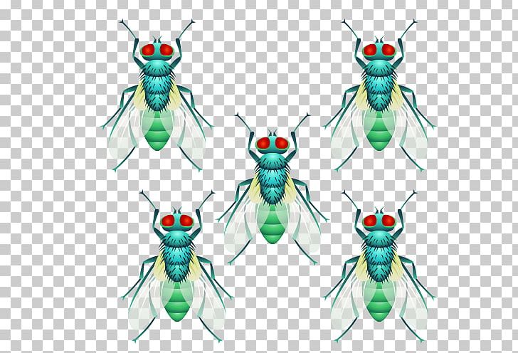 Fly Insect Flight PNG, Clipart, Animals, Arthropod, Download, Element, Flies Free PNG Download