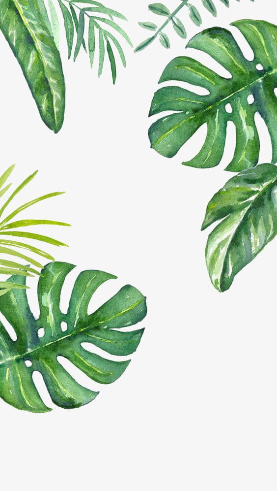 Green Background PNG, Clipart, Background, Banana, Banana Leaves, Cosmetics, Cosmetics Elements Free PNG Download