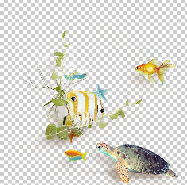 Turtle PNG, Clipart, Amphibian, Aquarium Decor, Blog, Clip Art, Color Free PNG Download