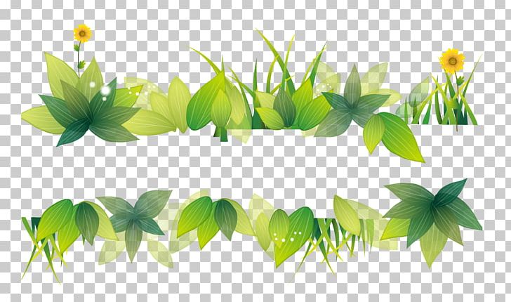 Computer File PNG, Clipart, Background Green, Beautiful, Beauty, Beauty Salon, Clear Free PNG Download