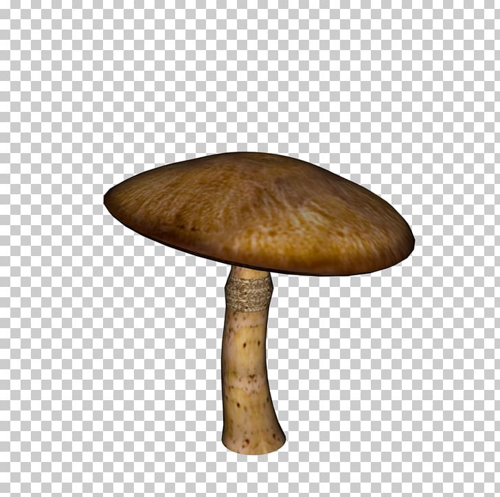 Mushroom PNG, Clipart, Mushroom, Nature, Table, Wood Free PNG Download