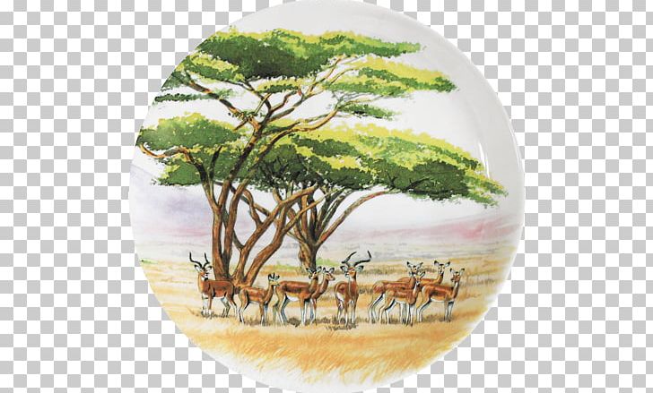 Savanna Tableware Couch Plate Safari PNG, Clipart, Attitude, Bowl Of Cereal, Contrast, Couch, Dishware Free PNG Download
