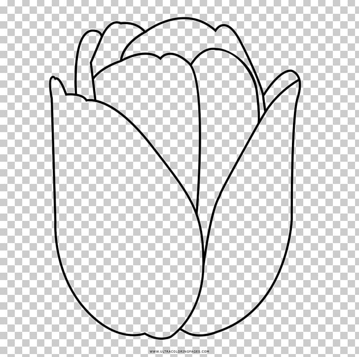 Tulip Petal Drawing Black And White PNG, Clipart, Angle, Area, Ausmalbild, Black And White, Blume Free PNG Download