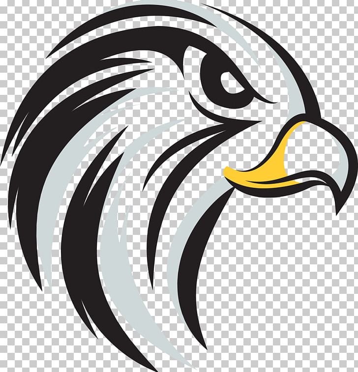 Bald Eagle Beak White PNG, Clipart, Animals, Artwork, Bald Eagle, Beak, Bird Free PNG Download