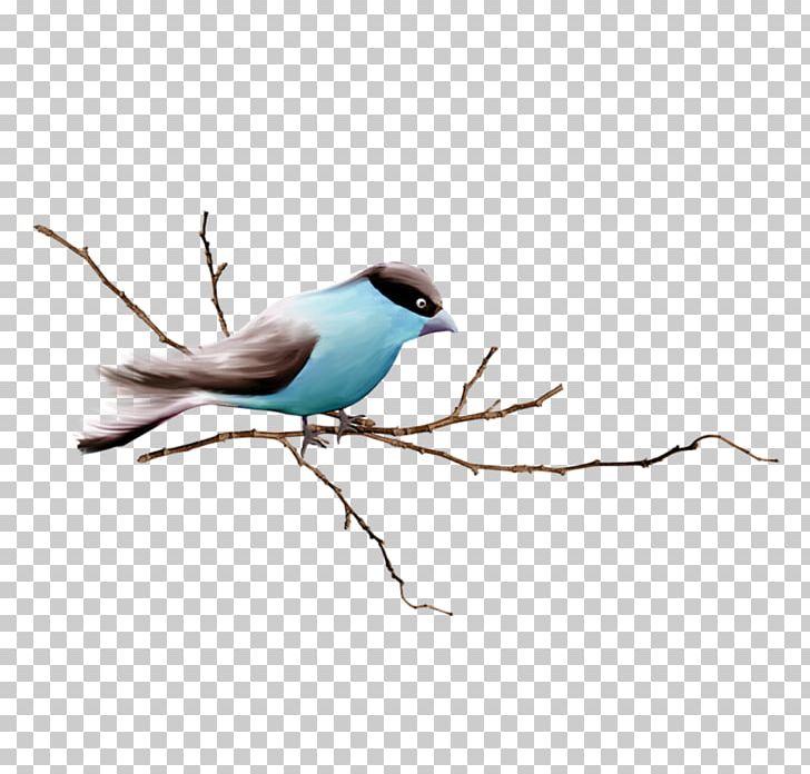 Bird Sparrow Branch PNG, Clipart, Animals, Beak, Branches, Color, Cute Little Yellow Chicken Free PNG Download