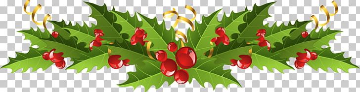 Mistletoe Portable Network Graphics Leaf PNG, Clipart, Aquifoliaceae, Bell Peppers And Chili Peppers, Birds Eye Chili, Branch, Christmas Day Free PNG Download