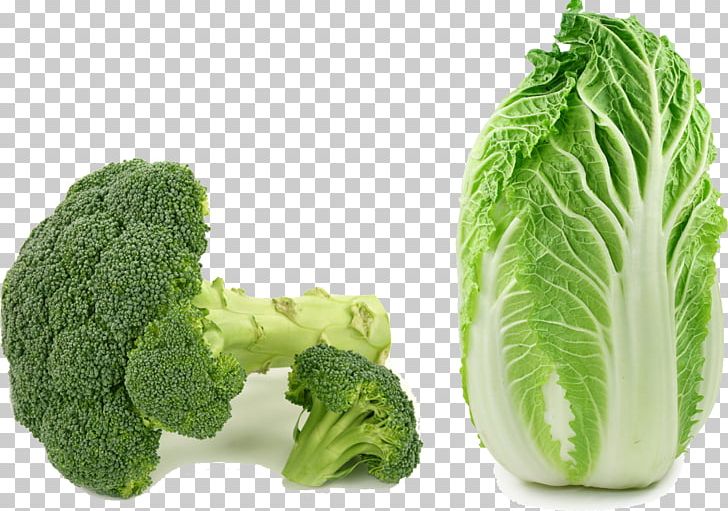 Asian Cuisine Choy Sum Chinese Cabbage Napa Cabbage Vegetable PNG, Clipart, Bok Choy, Broccoli Vector, Brussels Sprout, Cabbage, Cartoon Cabbage Free PNG Download