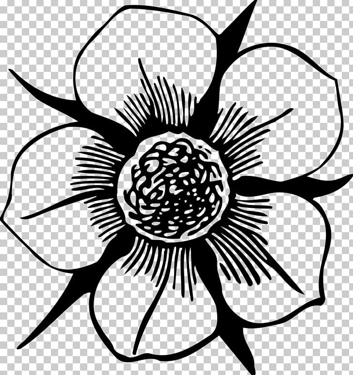 Floral Design Flower Drawing PNG, Clipart, Black And White, Computer Icons, Cut Flowers, Drawing, Flora Free PNG Download